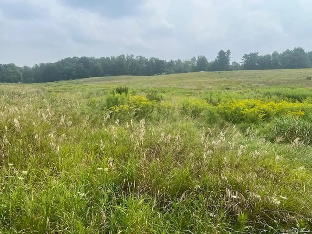1820 County Route 7 Ancram NY 12502