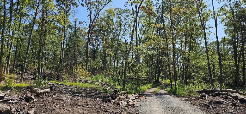 Lot 8.1 Eckes Road Narrowsburg NY 12764