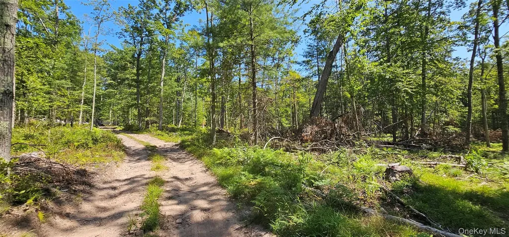 Lot 8.1 Eckes Road Narrowsburg NY 12764