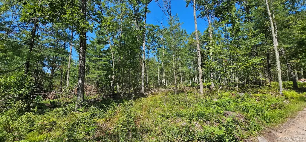 Lot 8.1 Eckes Road Narrowsburg NY 12764