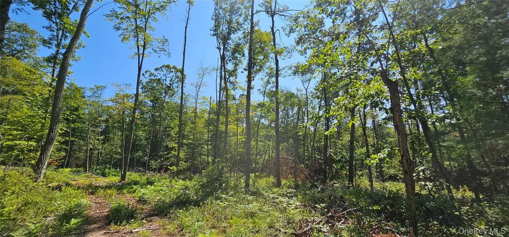 Lot 8.1 Eckes Road Narrowsburg NY 12764