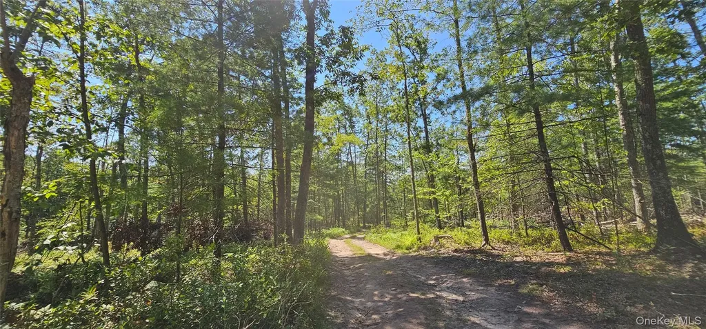 Lot 8.1 Eckes Road Narrowsburg NY 12764
