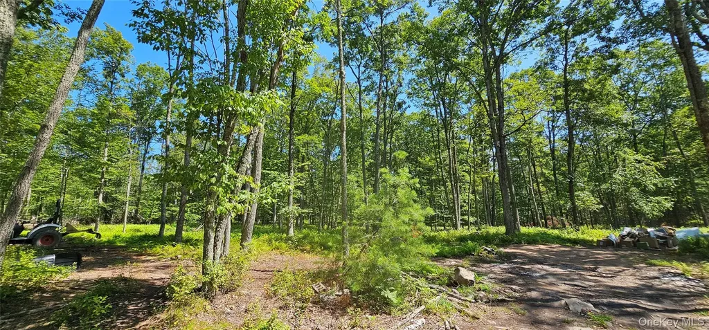 Lot 8.1 Eckes Road Narrowsburg NY 12764