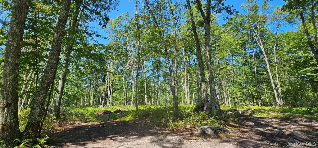 Lot 8.1 Eckes Road Narrowsburg NY 12764
