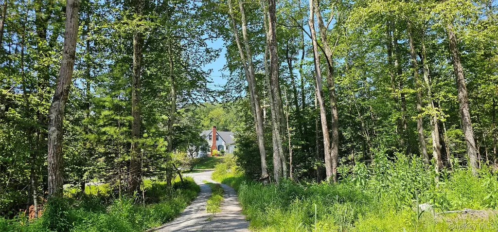 Lot 8.1 Eckes Road Narrowsburg NY 12764