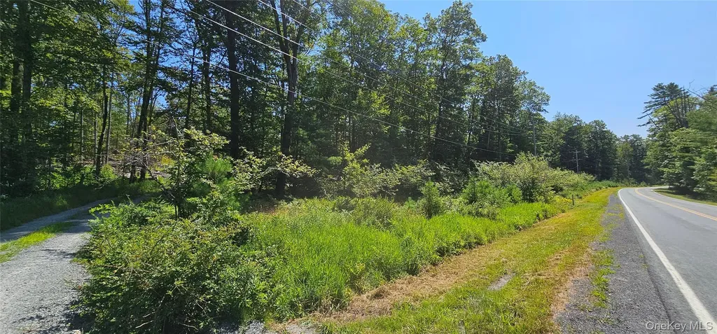 Lot 8.1 Eckes Road Narrowsburg NY 12764