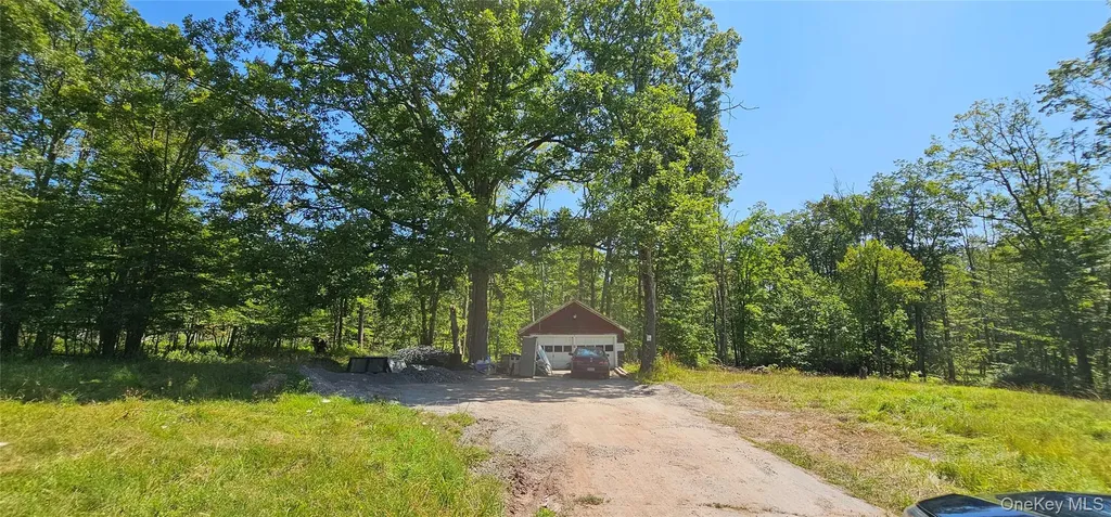 Lot 8.1 Eckes Road Narrowsburg NY 12764