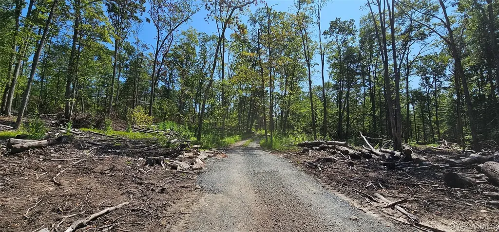 Lot 8.1 Eckes Road Narrowsburg NY 12764