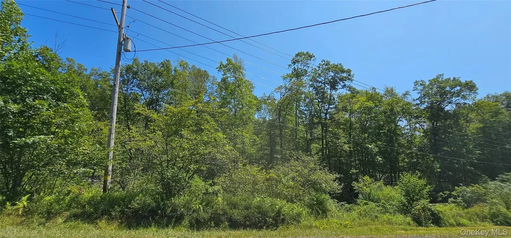 Lot 8.1 Eckes Road Narrowsburg NY 12764