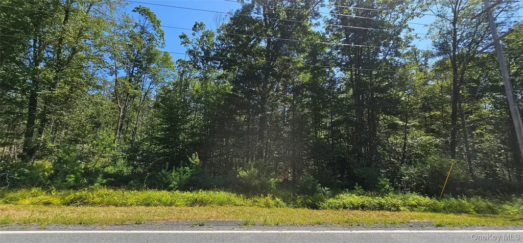 Lot 8.1 Eckes Road Narrowsburg NY 12764