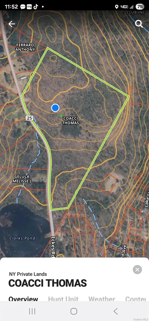 Lot 8.1 Eckes Road Narrowsburg NY 12764