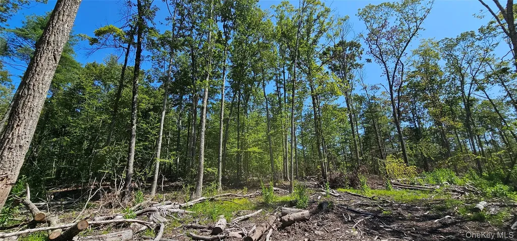 Lot 8.1 Eckes Road Narrowsburg NY 12764