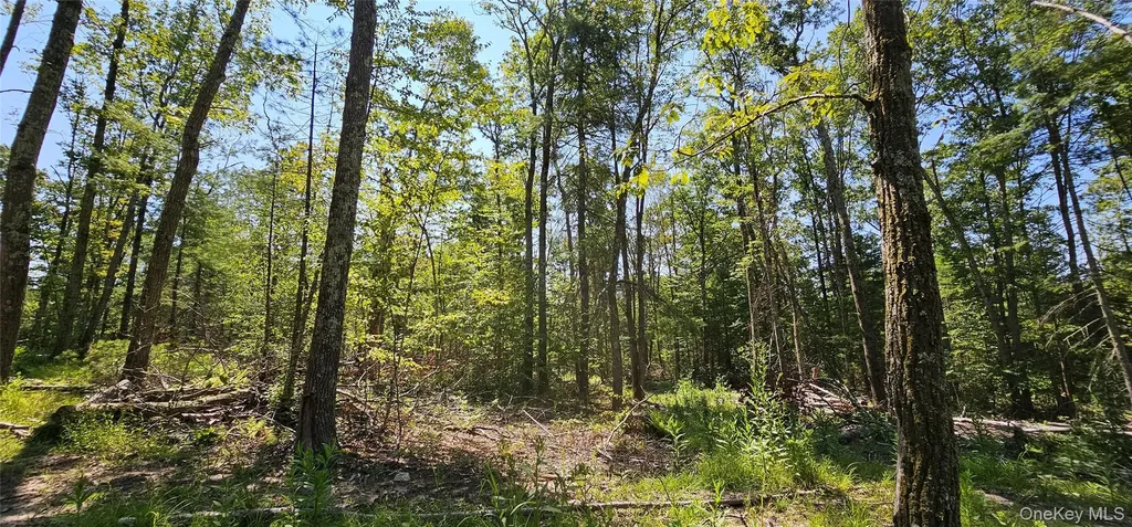 Lot 8.1 Eckes Road Narrowsburg NY 12764