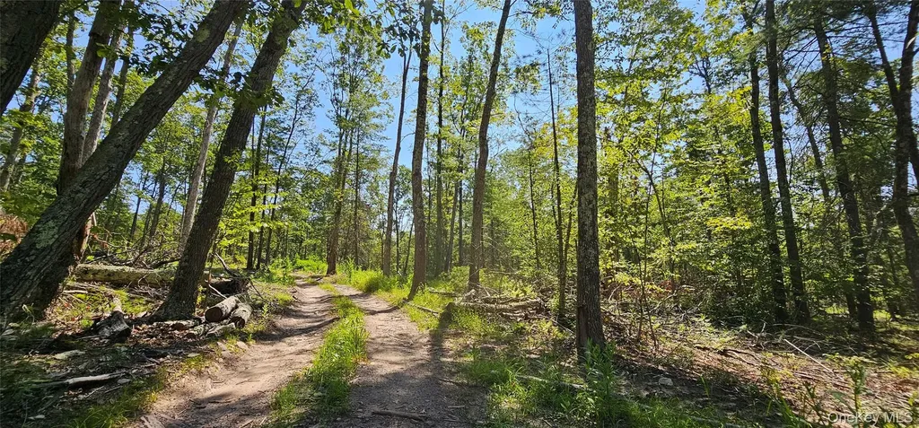 Lot 8.1 Eckes Road Narrowsburg NY 12764