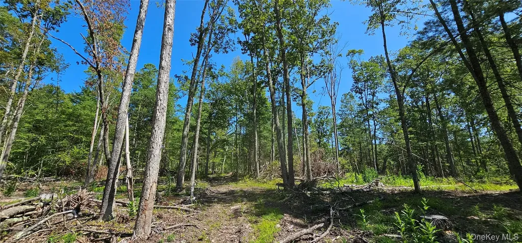 Lot 8.1 Eckes Road Narrowsburg NY 12764