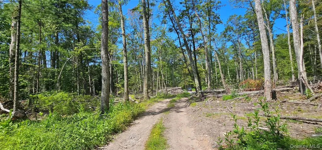 Lot 8.1 Eckes Road Narrowsburg NY 12764