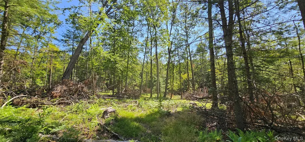 Lot 8.1 Eckes Road Narrowsburg NY 12764