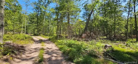 Lot 8.1 Eckes Road Narrowsburg NY 12764