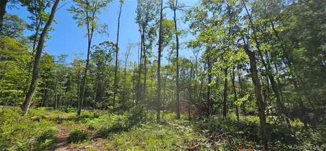 Lot 8.1 Eckes Road Narrowsburg NY 12764