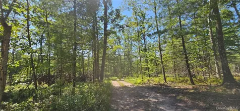 Lot 8.1 Eckes Road Narrowsburg NY 12764