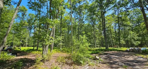 Lot 8.1 Eckes Road Narrowsburg NY 12764