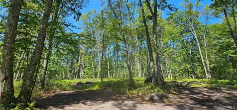 Lot 8.1 Eckes Road Narrowsburg NY 12764