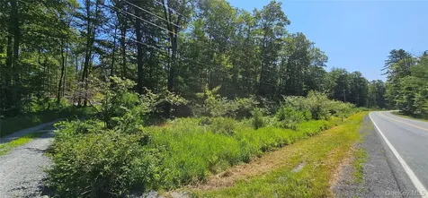 Lot 8.1 Eckes Road Narrowsburg NY 12764