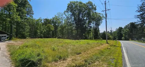 Lot 8.1 Eckes Road Narrowsburg NY 12764