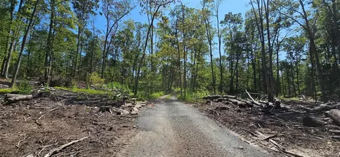 Lot 8.1 Eckes Road Narrowsburg NY 12764