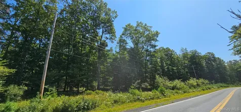 Lot 8.1 Eckes Road Narrowsburg NY 12764