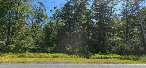 Lot 8.1 Eckes Road Narrowsburg NY 12764