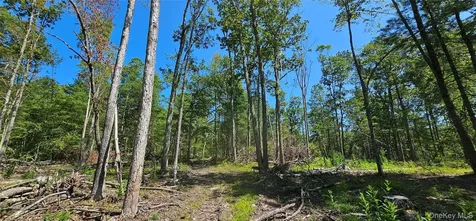 Lot 8.1 Eckes Road Narrowsburg NY 12764