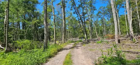 Lot 8.1 Eckes Road Narrowsburg NY 12764