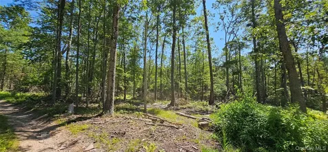 Lot 8.1 Eckes Road Narrowsburg NY 12764