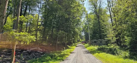 Lot 50 Deep Hollow Hill Road Narrowsburg NY 12764
