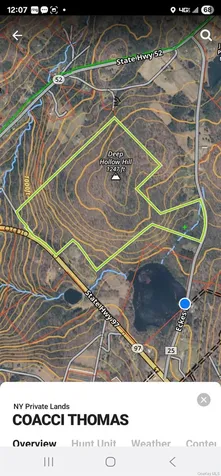 Lot 50 Deep Hollow Hill Road Narrowsburg NY 12764