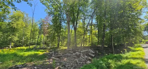 Lot 50 Deep Hollow Hill Road Narrowsburg NY 12764