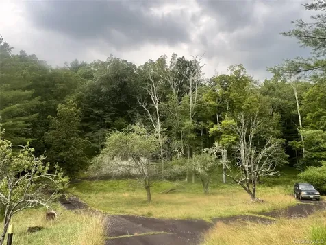 259 Lackawaxen Road Narrowsburg NY 12764