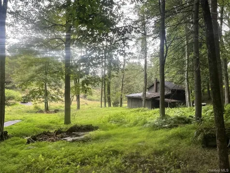 259 Lackawaxen Road Narrowsburg NY 12764