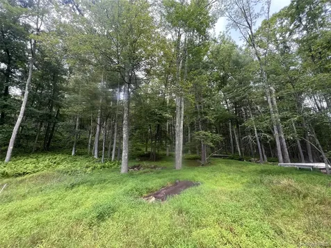 259 Lackawaxen Road Narrowsburg NY 12764