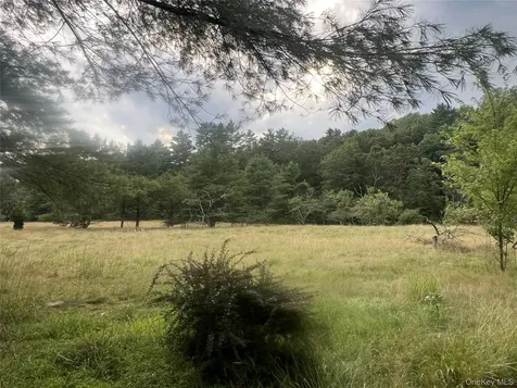 259 Lackawaxen Road Narrowsburg NY 12764