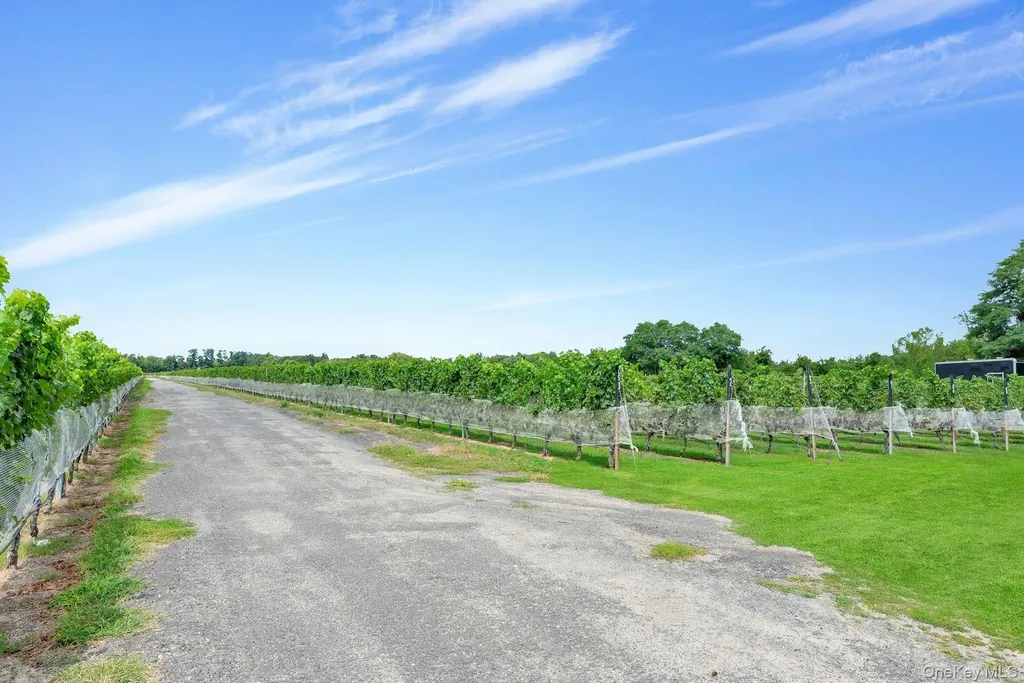 44075 Route 25 Peconic NY 11971