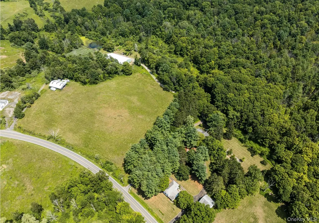 174 County Route 11 Pine Plains NY 12567