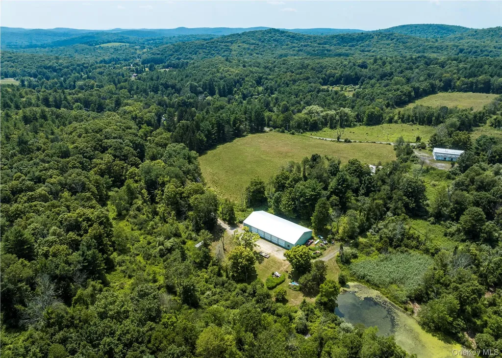 174 County Route 11 Pine Plains NY 12567