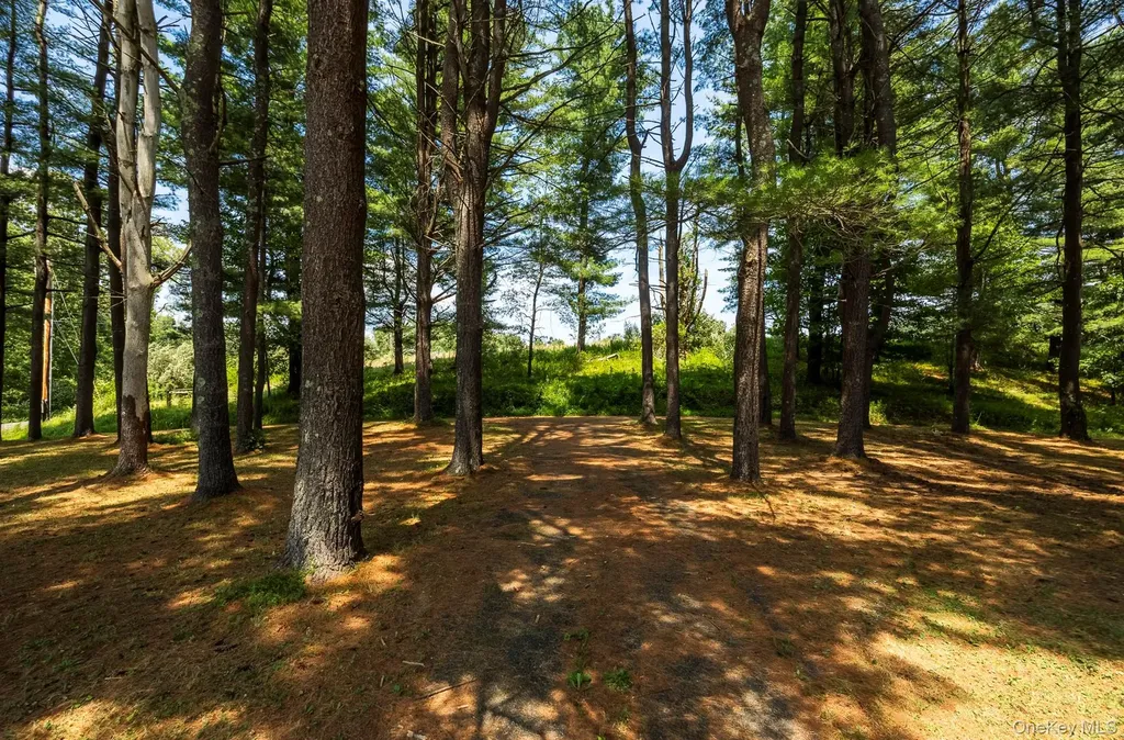 174 County Route 11 Pine Plains NY 12567