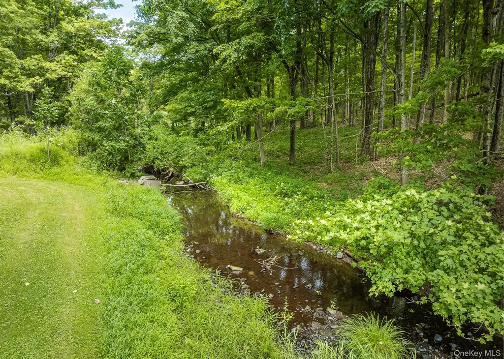 174 County Route 11 Pine Plains NY 12567