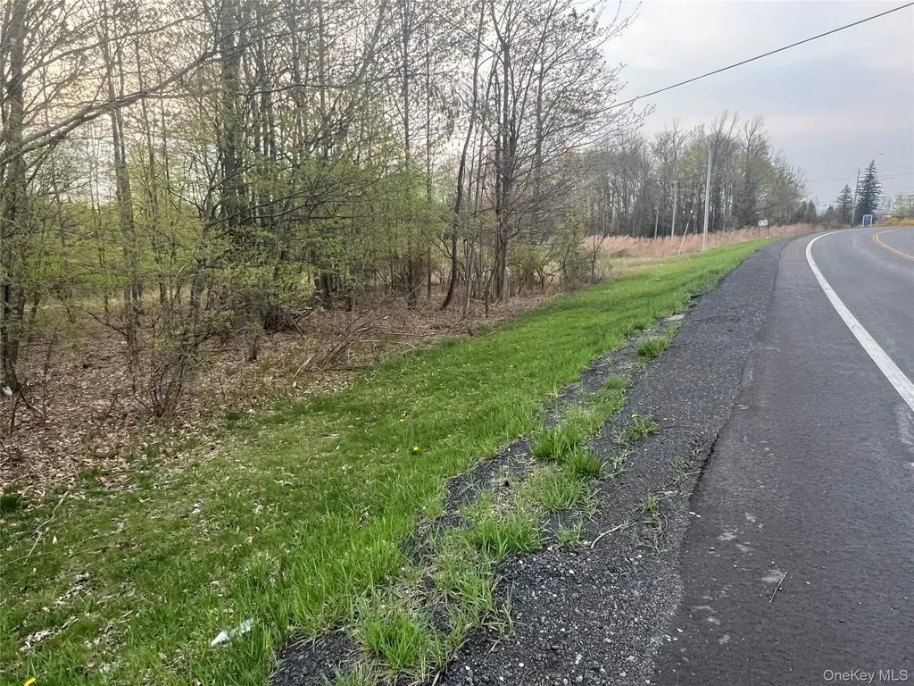 838 Old Liberty Road Monticello NY 12701