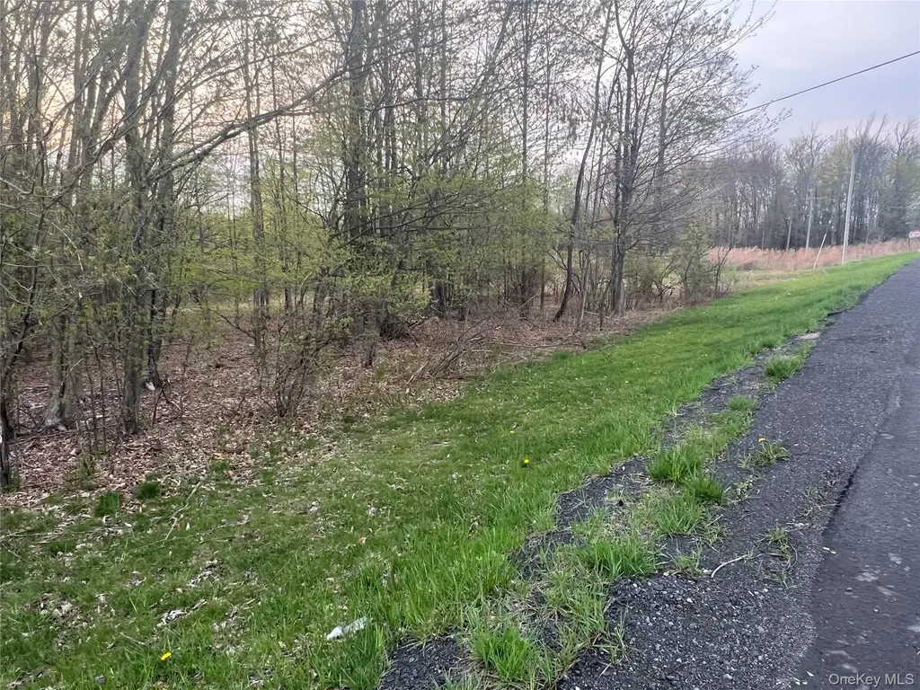 838 Old Liberty Road Monticello NY 12701