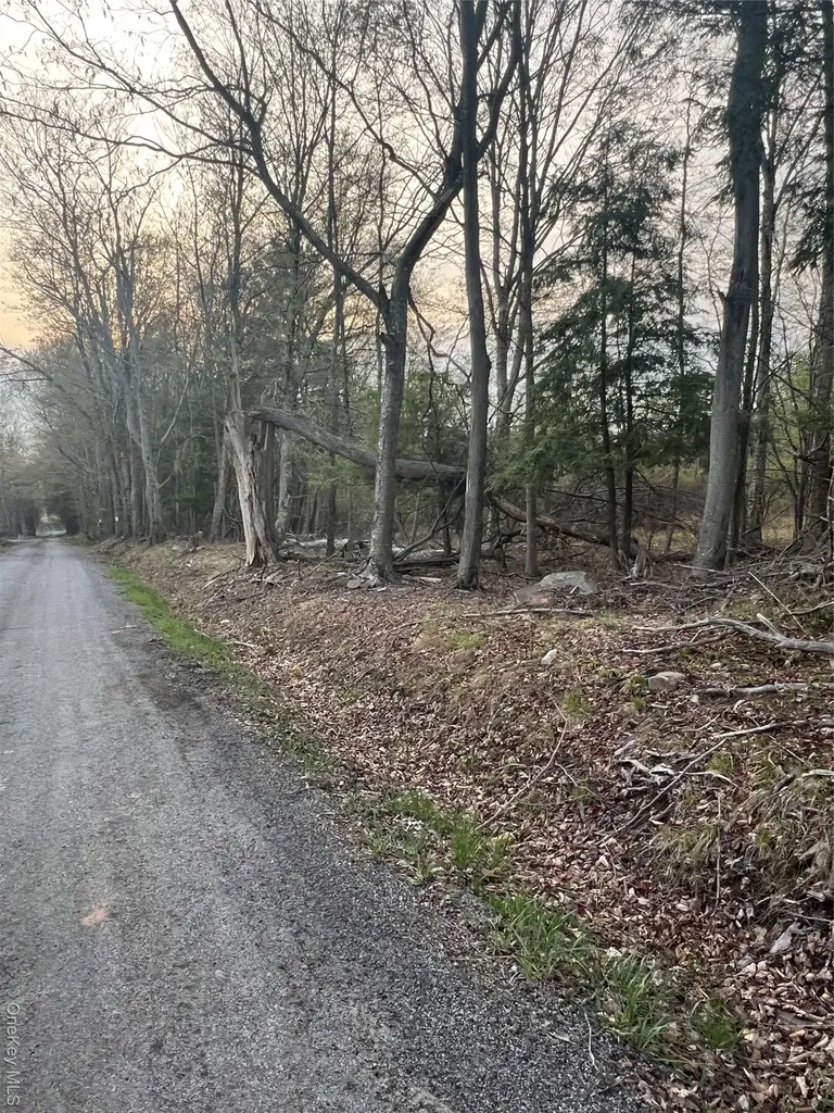 838 Old Liberty Road Monticello NY 12701