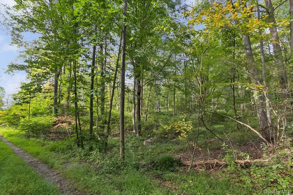 Tbd Rt-9d Garrison NY 10524